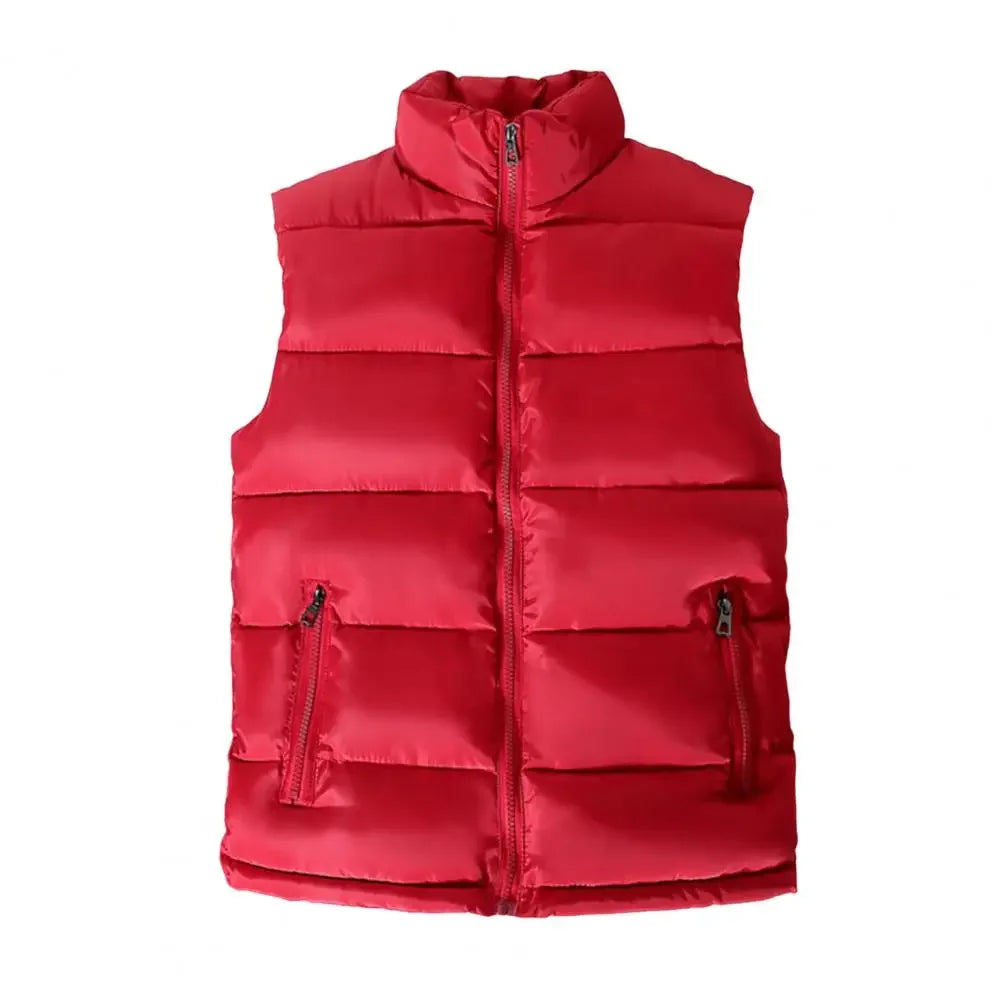 Arden Men's puffer vest
