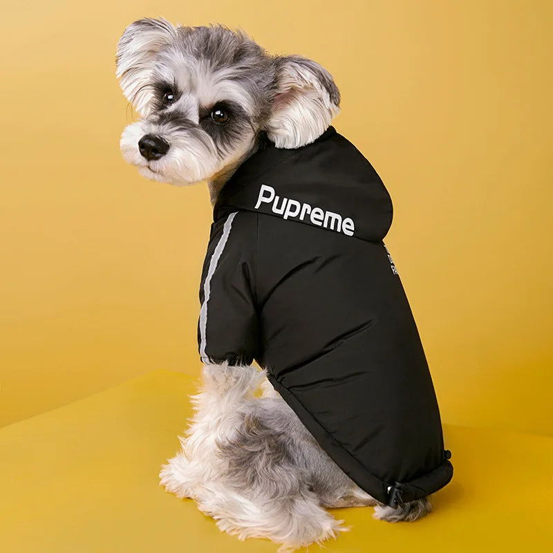 Pupreme x The Dog Face waterproof rain coat