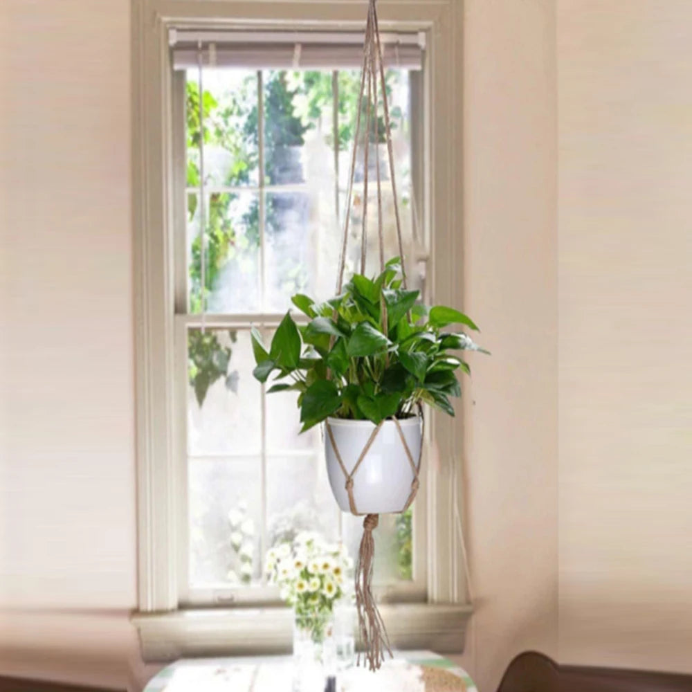 Cassora 6 Pc macrame plant hanger set